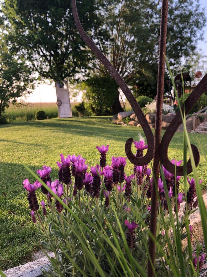 Ferienwohnung Thiergarten Mistelgau Екстериор снимка